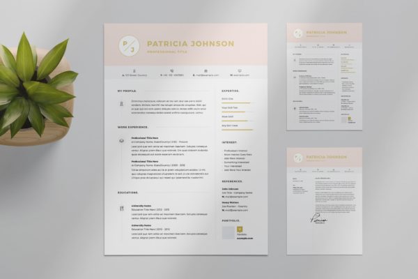 粉色标题网页设计师/网站开发素材库精选简历模板 Resume Layout Set with Pink Header