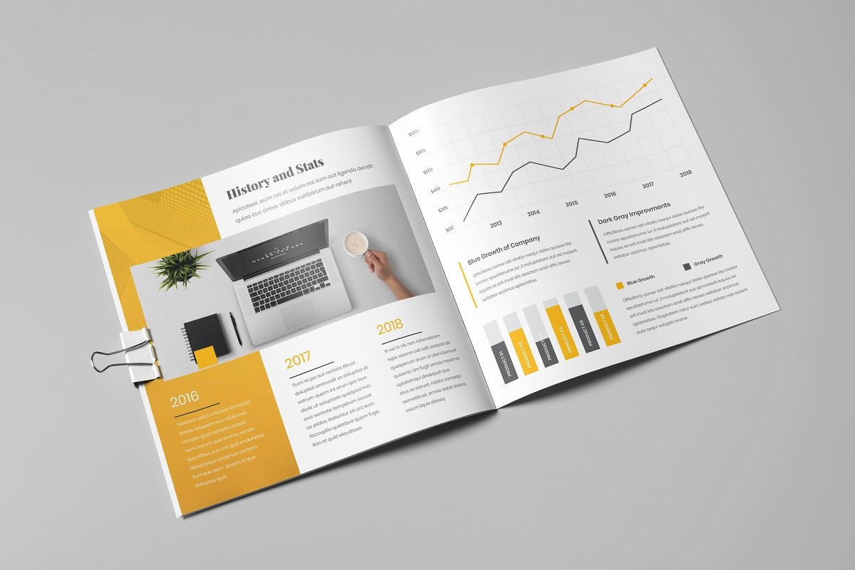 企业简约高效宣传册设计模板插图(13)