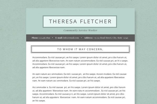 介绍信、简历多合一简约简历模板 Chic Resume Template Package