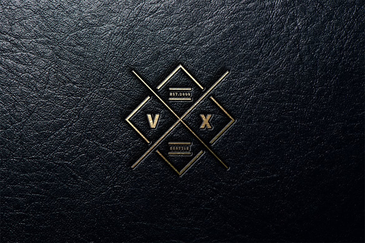 50个复古设计风格Logo&徽章设计模板 50 Premium Vintage Logo & Badge插图(1)