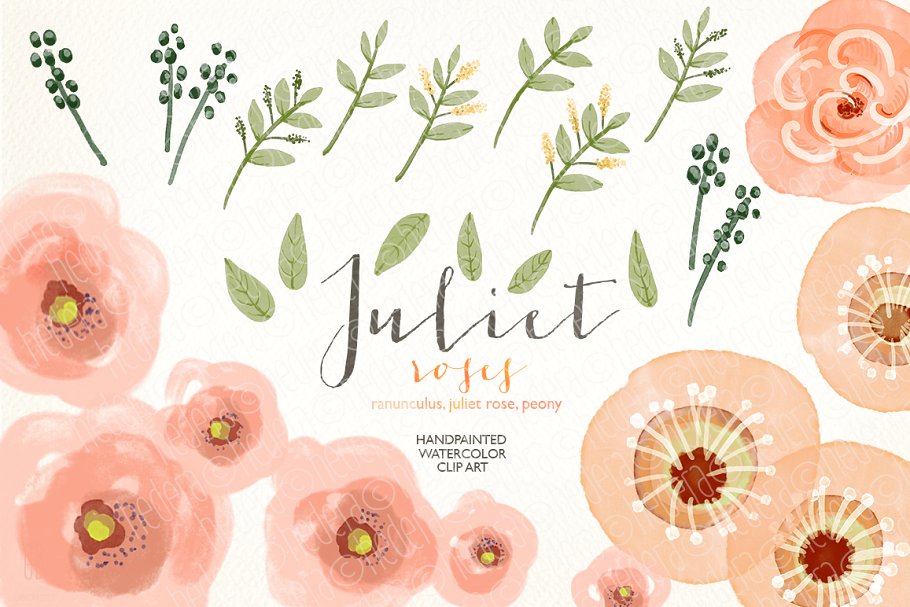 水彩珊瑚橄榄花环素材 Watercolor coral olive floral wreath插图(3)