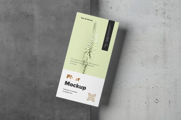 传单设计印刷效果图样机素材库精选模板 Flyer Mock-up