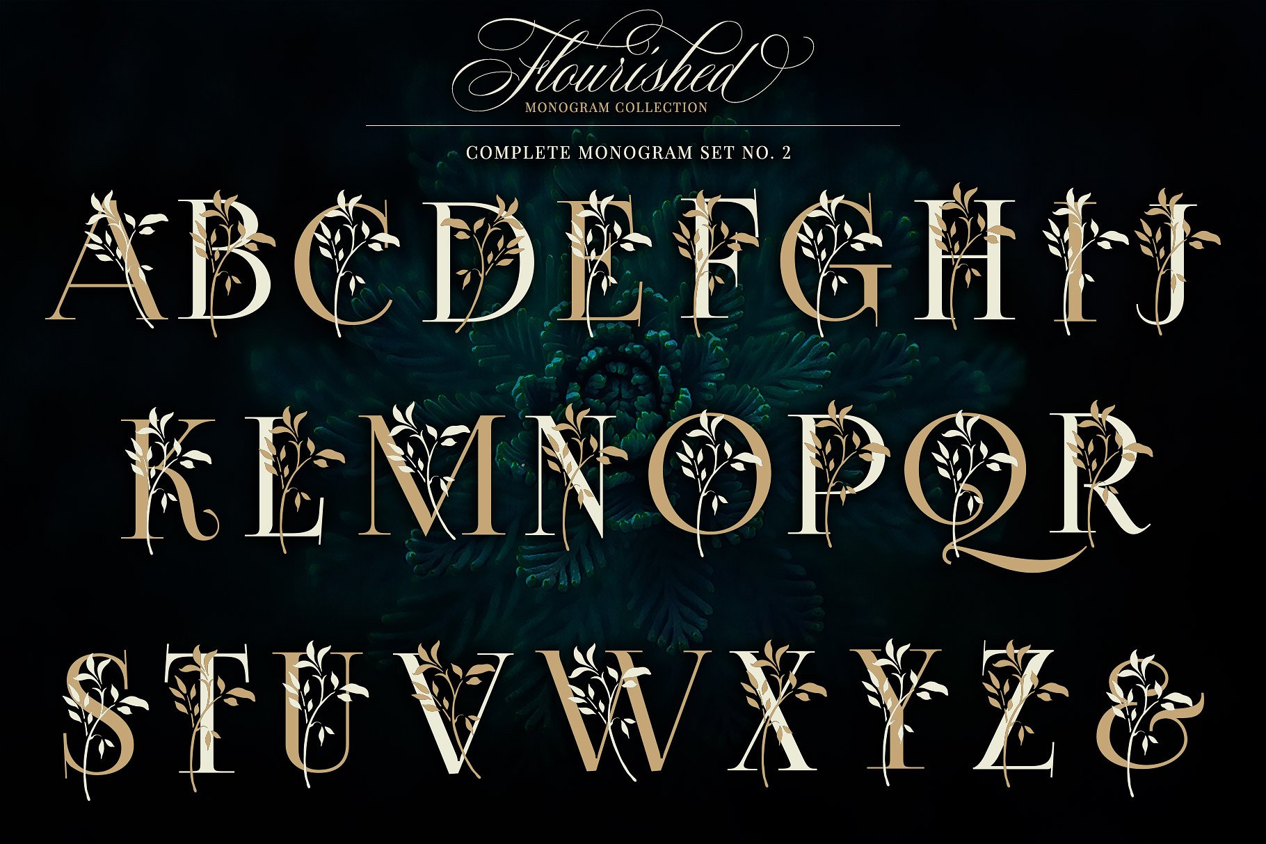 优雅手绘花卉装饰字母矢量素材 Flourished Monogram Collection插图(4)