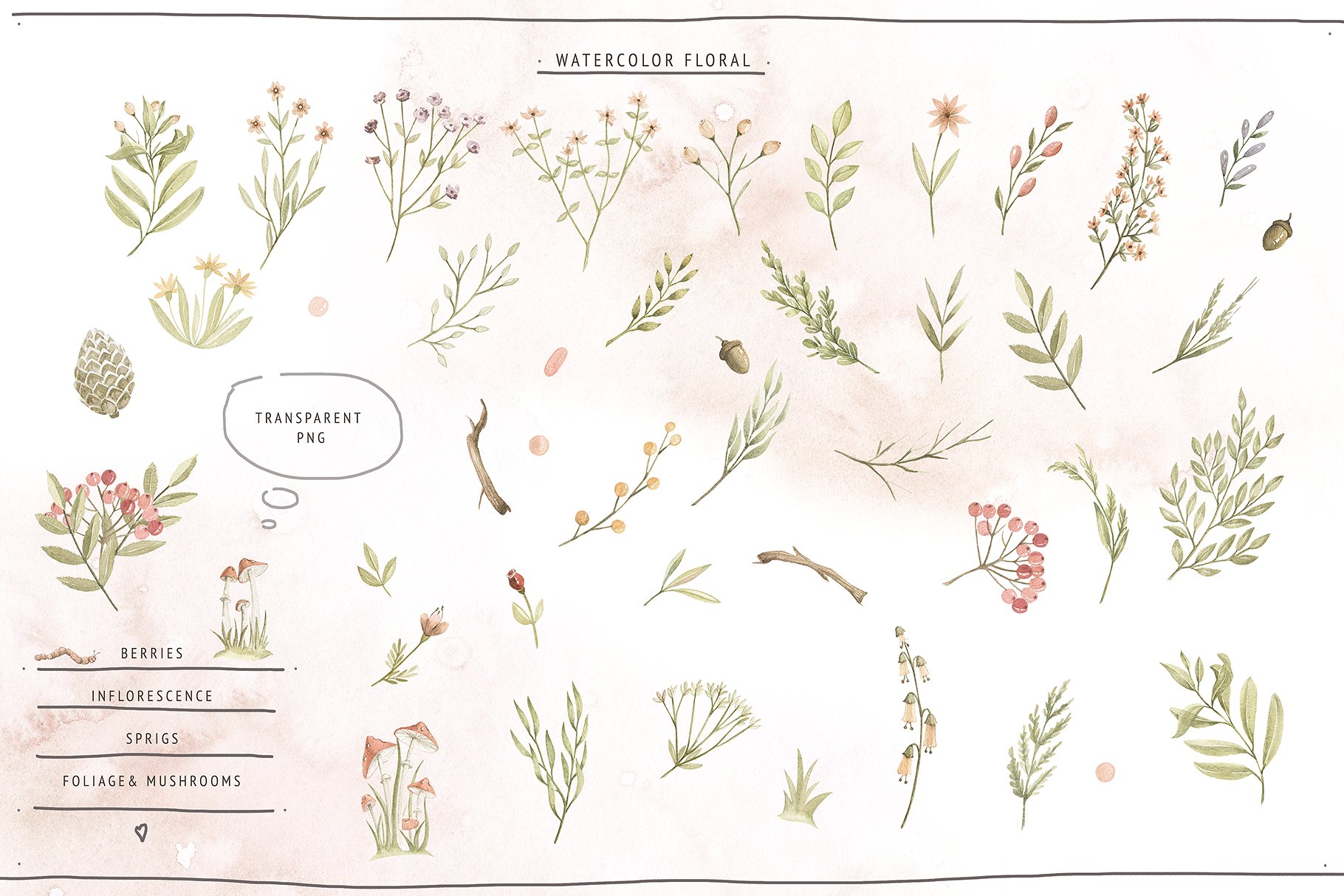 水彩森林动物宝贝水彩插画 Watercolor Forest Baby插图(5)