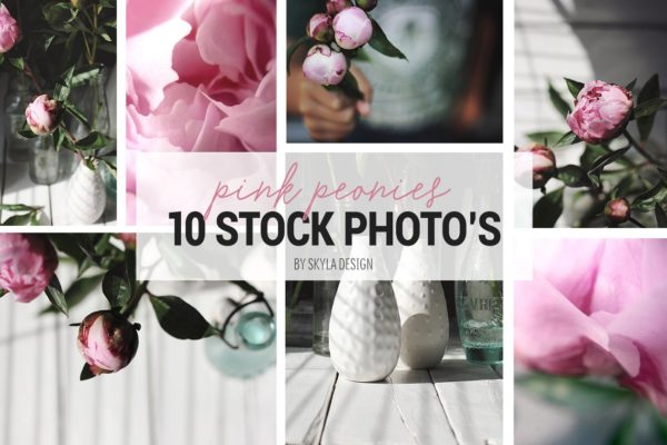 粉红色牡丹花卉装饰场景模板 Styled stock photos, Pink peonies