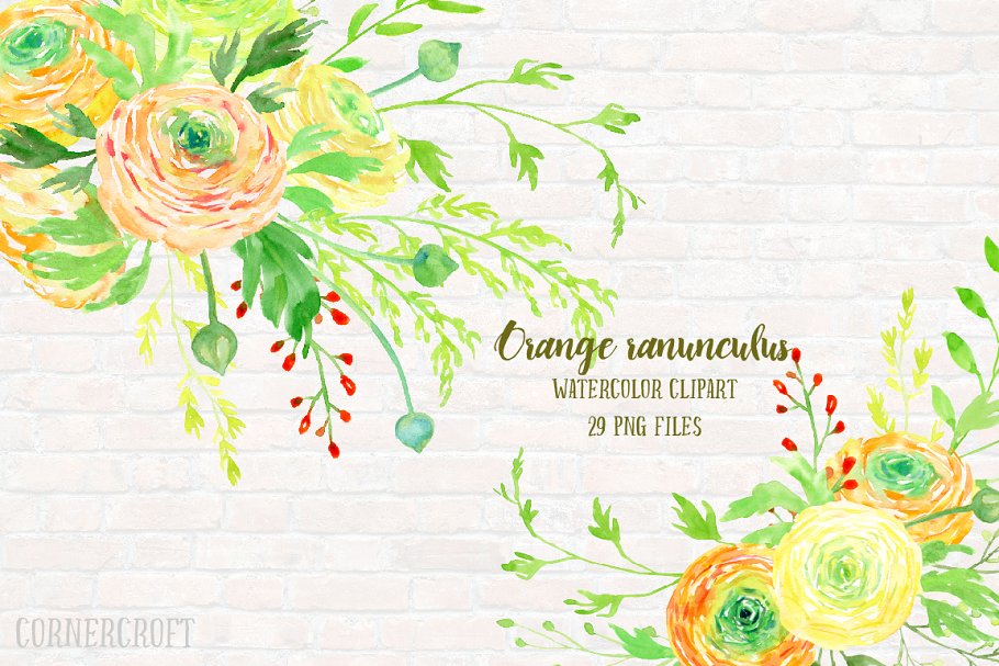 橙色水彩毛茛花卉剪贴画素材集 Watercolor Clipart Orange Ranunculus插图