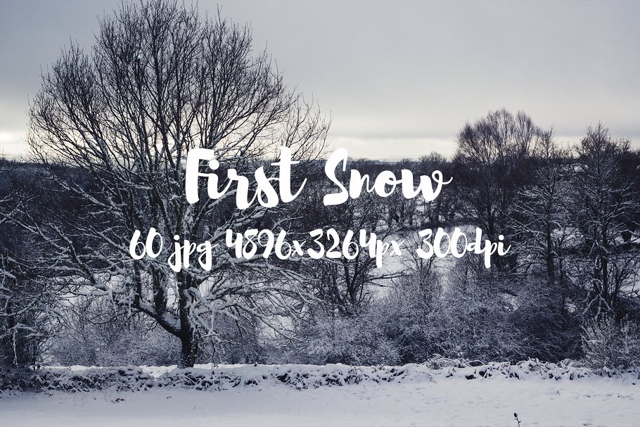 高清雪景照片合集 First Snow photo pack插图(25)