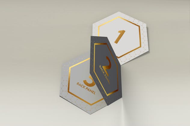 六角形折叠式小册子样机 Hexagon Fold Out Style Brochure插图(3)