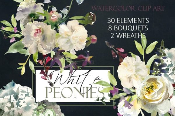 白色水彩花卉剪贴画 Watercolor White Flowers Clipart