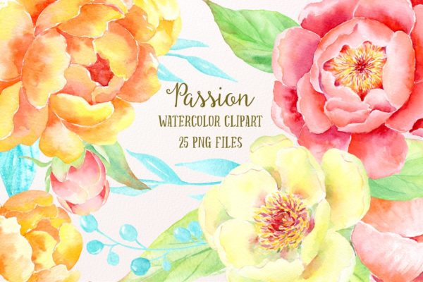 激情水彩牡丹插画艺术合集 Watercolor Clipart Peony Passion