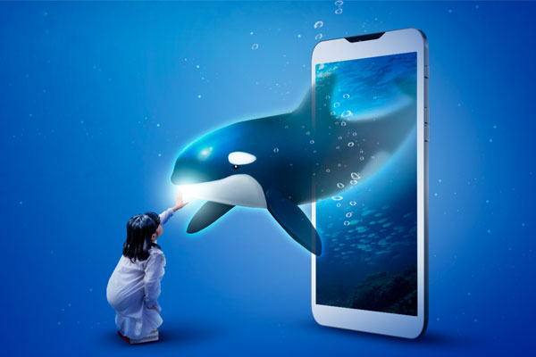 5G网络智能科技生活海报设计模板