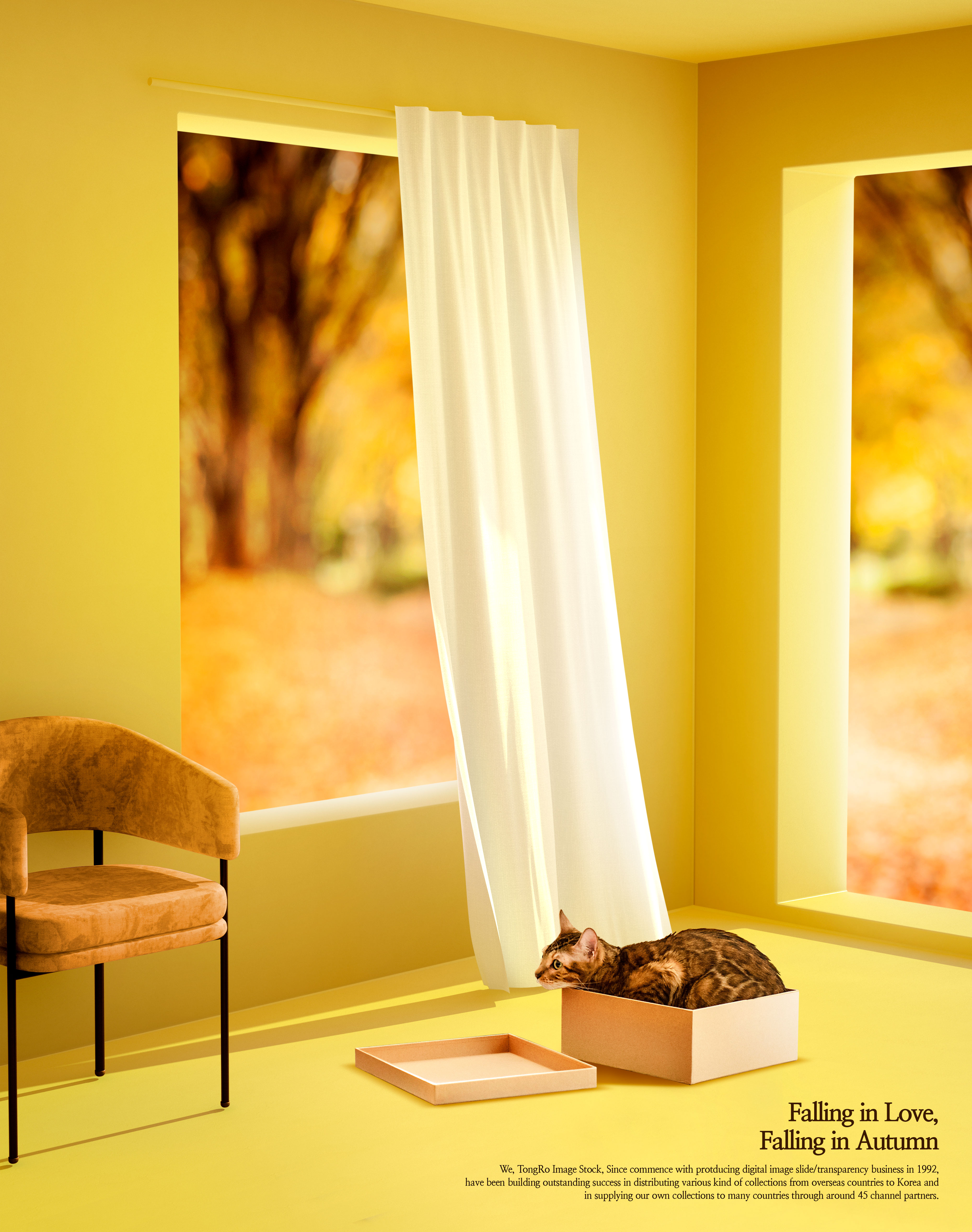 秋天浪漫爱情唯美背景海报图片素材[PSD]插图(1)