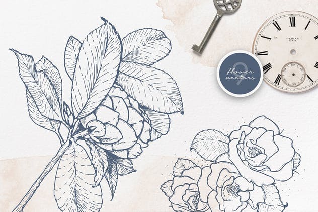 40款水彩图形PS画笔笔刷＆矢量花卉插画素材 Cloudy Watercolor Decorations Set插图(2)