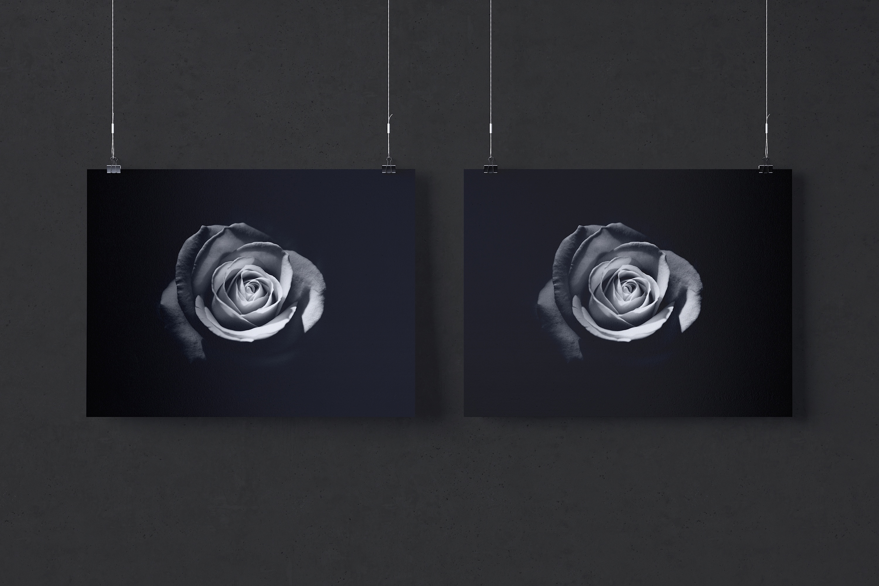 Twins悬挂海报设计效果图画框样机模板素材 Two 3:2 landscape hanging posters mockup插图(2)