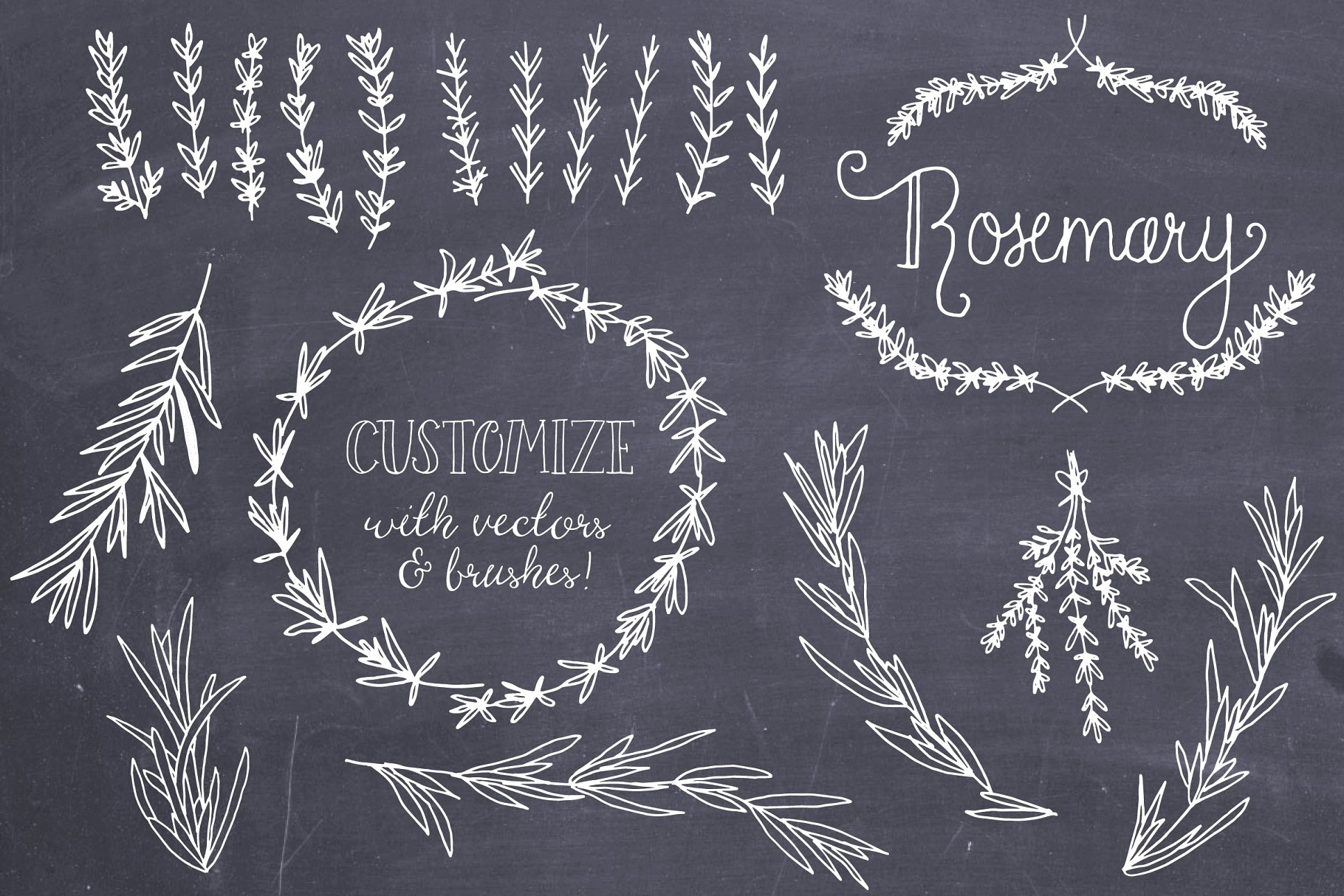 婚礼请柬迷迭香手绘剪贴画及矢量图  Rosemary Clip Art & Vectors插图(3)