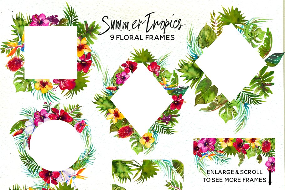 热带水彩花卉超级素材包[1.92GB] Tropic Watercolor Flowers & Animals插图(9)