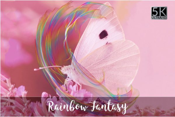 5K分辨率彩虹的幻想叠层背景 5K Rainbow Fantasy Overlays