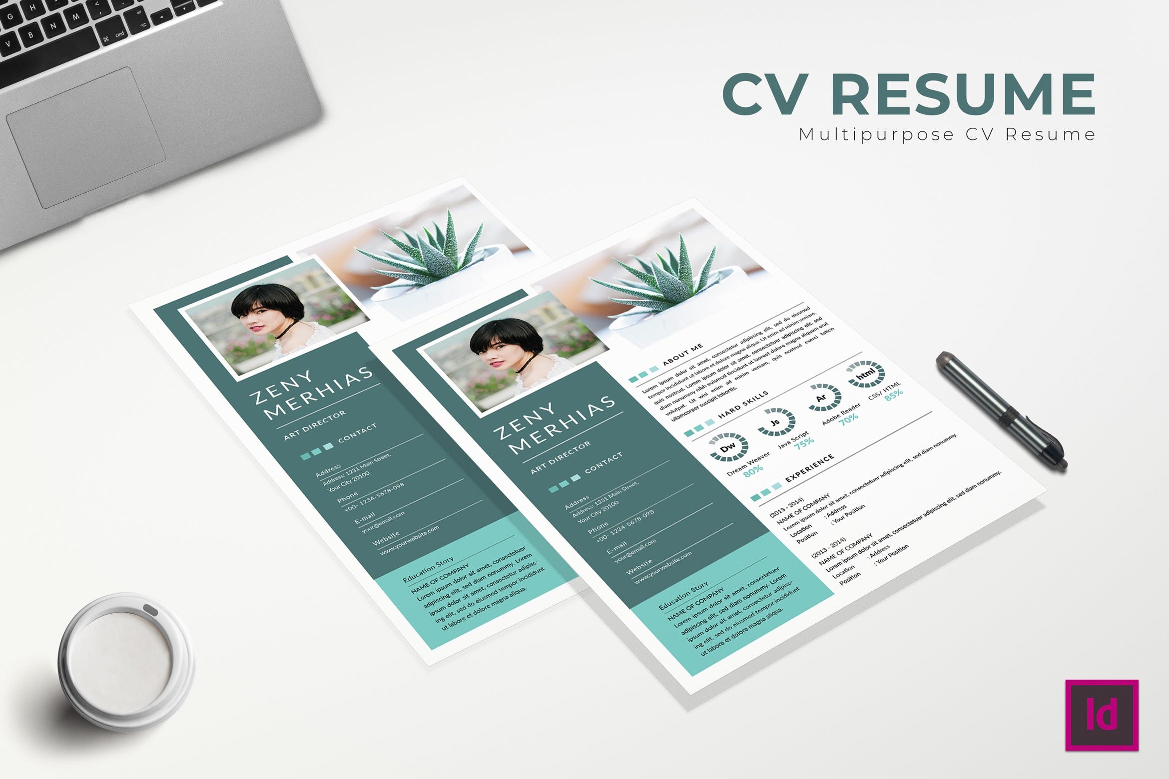 艺术指导职位应聘个人简历模板 Flaws CV Resume Template插图