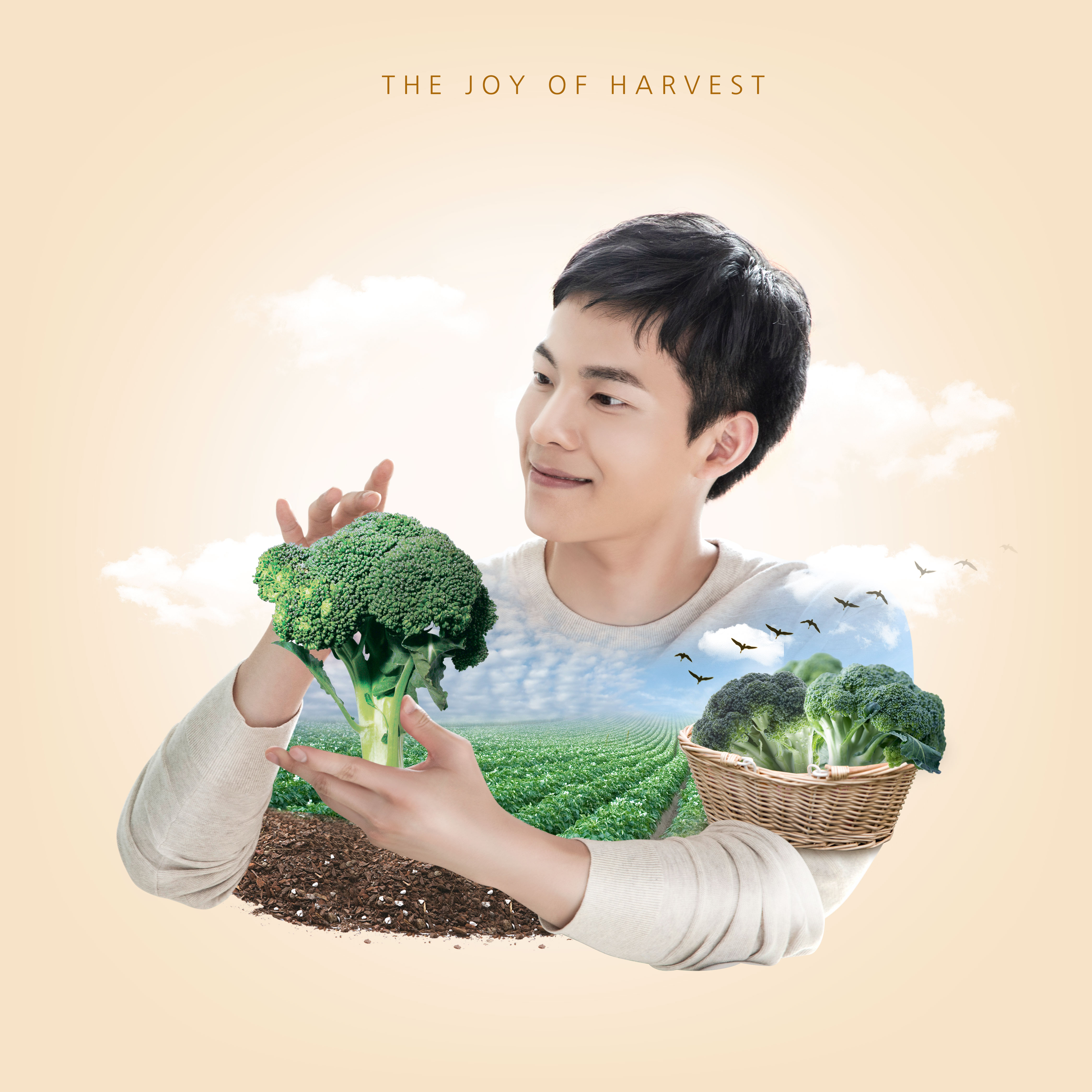 收获的喜悦农场生活主题方形海报psd模板插图(3)