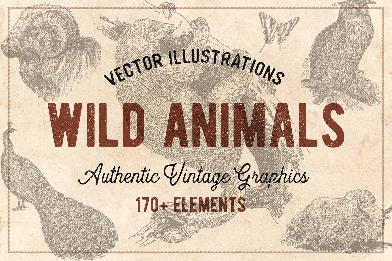 176个复古野生动物手绘（矢量）插图