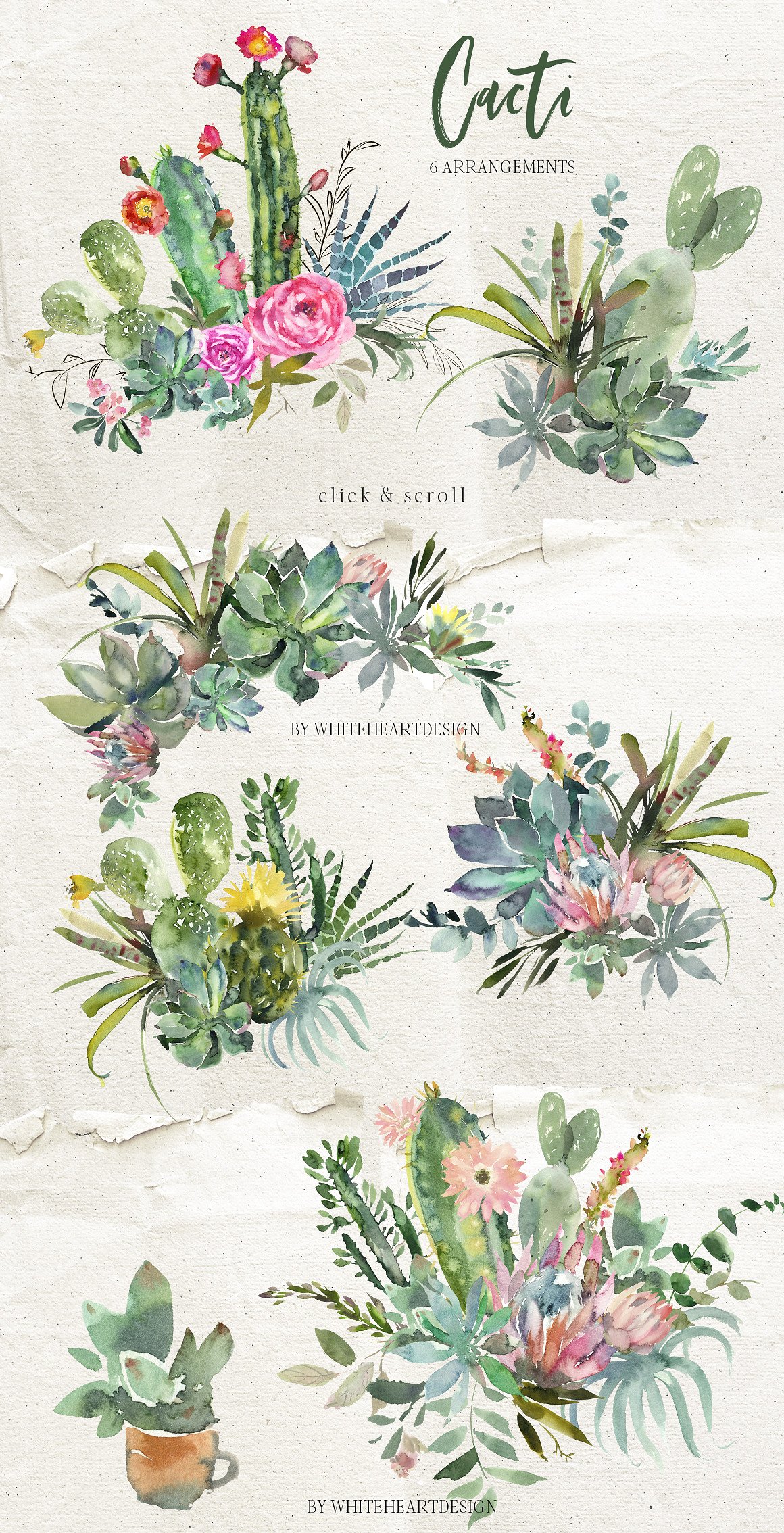 仙人掌水彩剪贴画 Cacti Watercolor Cactuses Clipart插图(1)