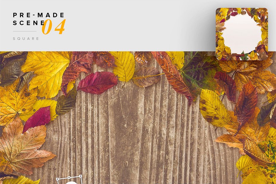 秋天主题场景样机设计素材包[2.39GB] Autumn Edition – Custom Scene插图(6)