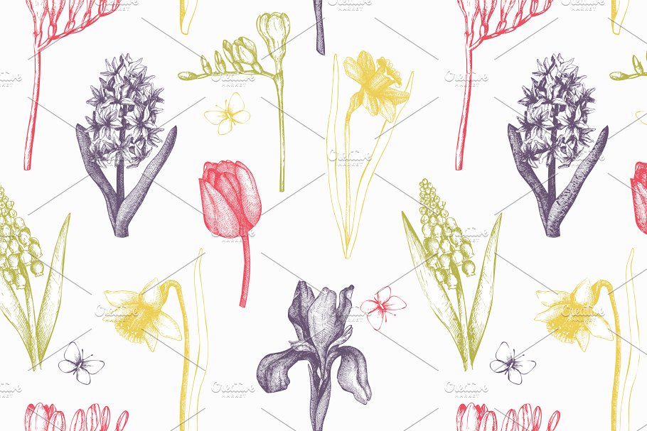 复古手绘春季花卉插图 Vector Flowers Collection插图(4)