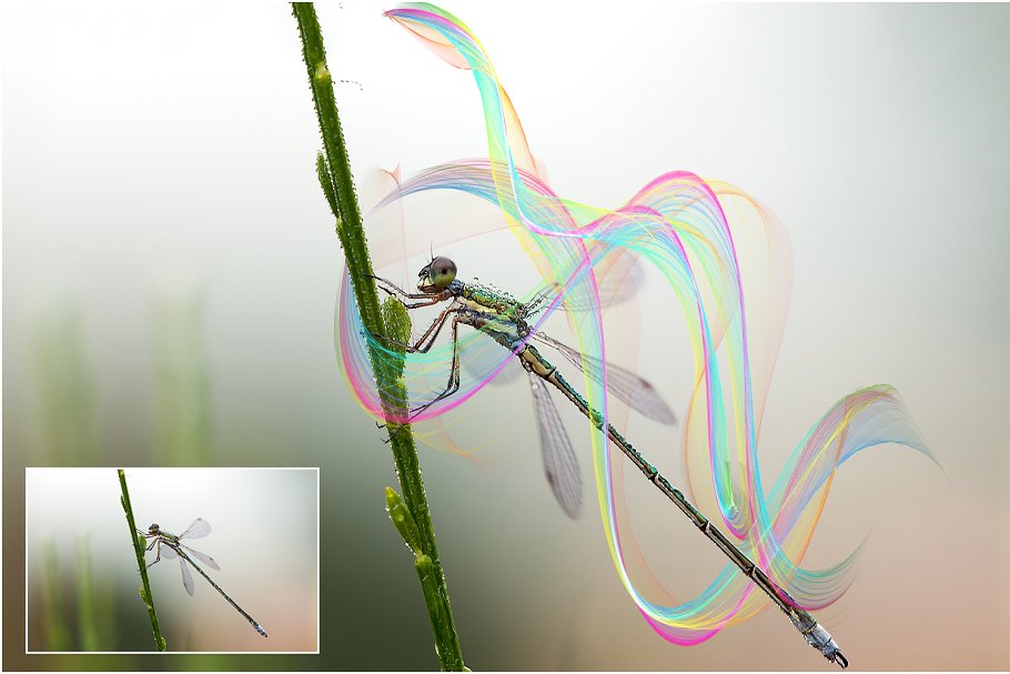 5K分辨率彩虹线条叠层背景 5K Rainbow Chaos Overlays插图(1)