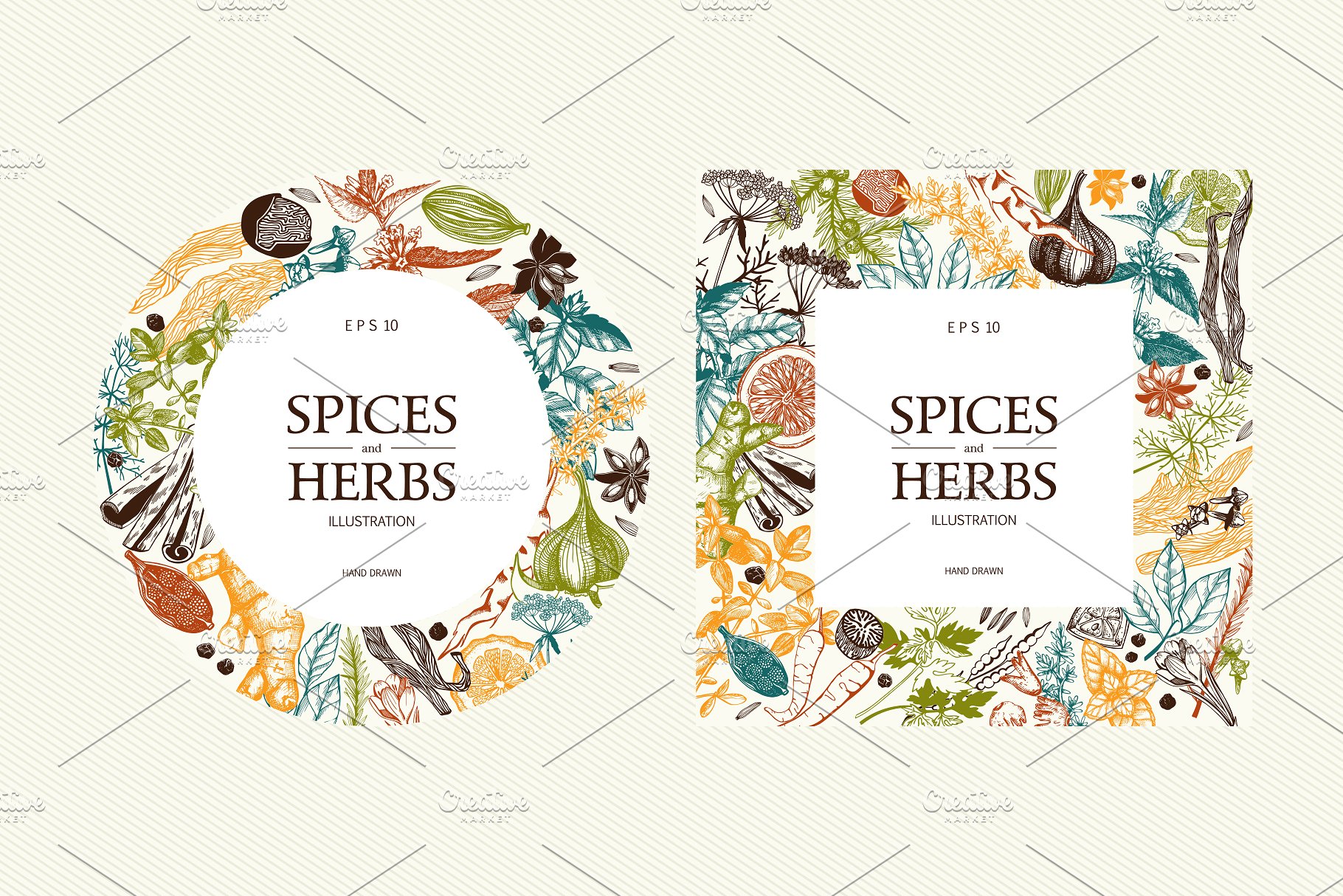 厨房香料及香草矢量插画 Vector Kitchen Spice & Herbs Set插图(6)