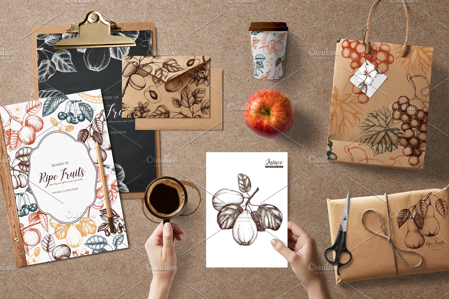 成熟水果矢量插图 Vector Ripe Fruits Illustrations插图(7)