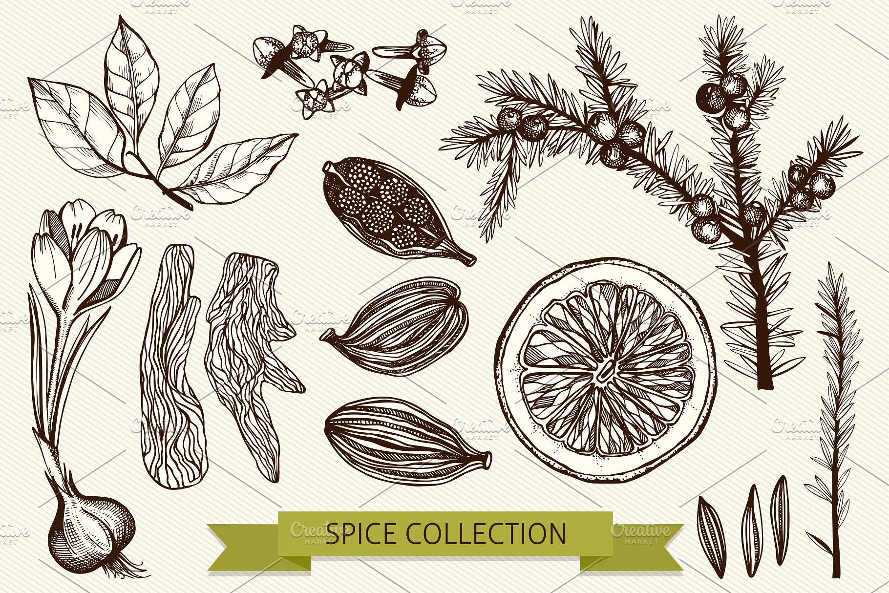 厨房香料及香草矢量插画 Vector Kitchen Spice & Herbs Set插图(4)