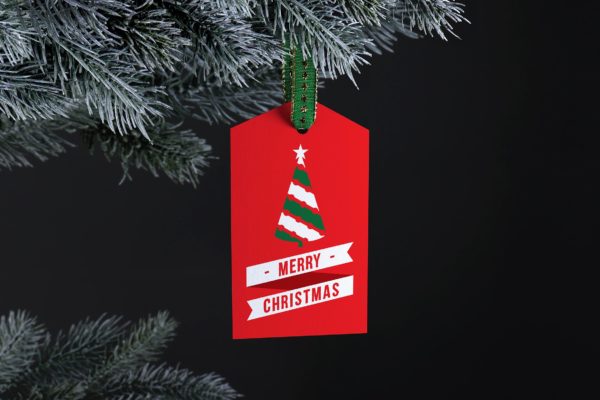 纸质吊牌设计样机素材库精选模板 Paper tag mockup