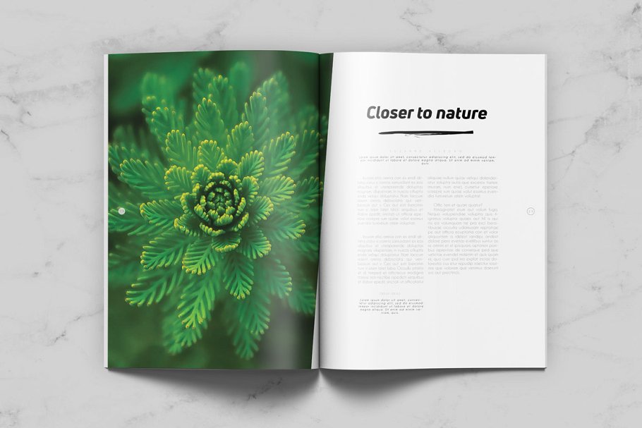 通用杂志模板 Minimal Universal Magazine插图(4)