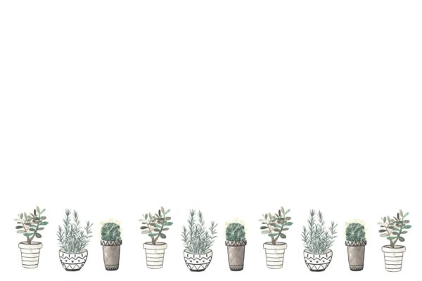 高分辨盆栽水彩插画 Watercolor illustration