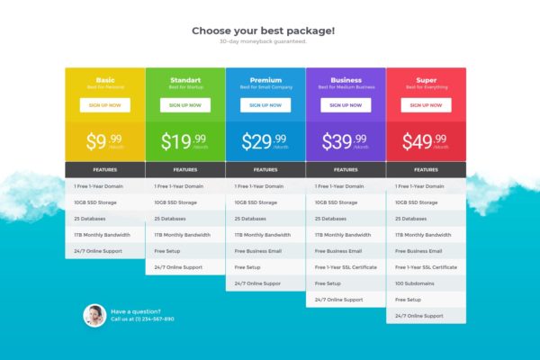 网站价格表单设计UI模板v26 Price Table 26