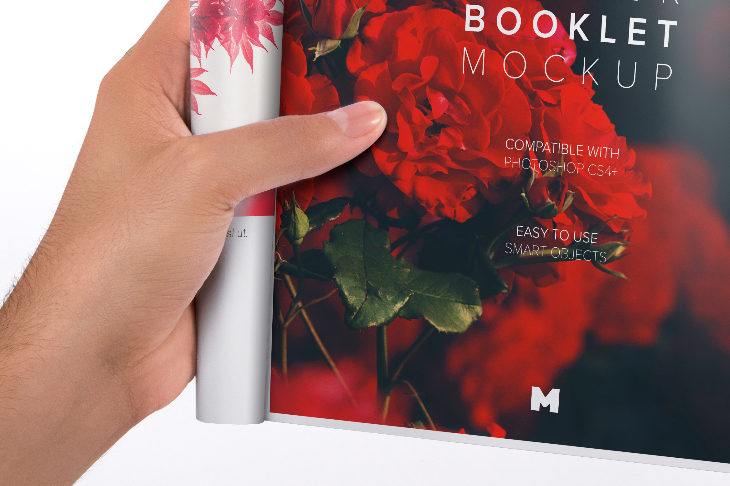 信纸规格小册子单页设计图样机 Letter Booklet Single Page Mockup插图