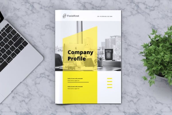 24页公司简介宣传册画册设计模板 FOXIEKNOT – Company Profile Brochure