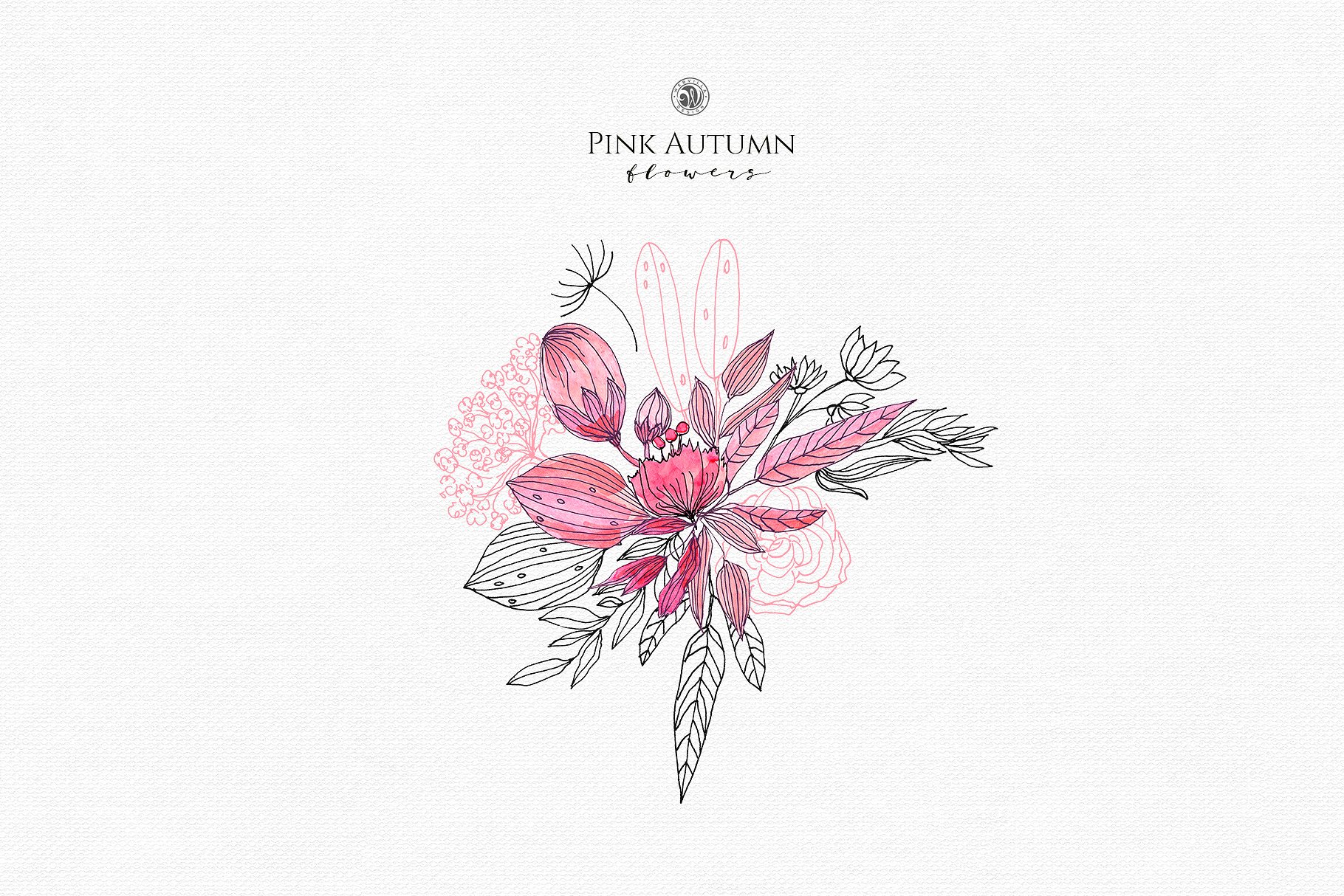 粉红水墨秋季水彩花卉插画 Pink Autumn Flowers插图(4)
