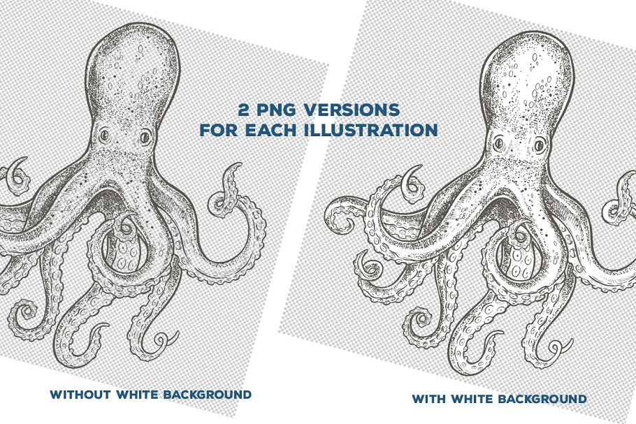 复古粗略风格的手绘海鲜插图合集 Seafood Illustrations插图(2)