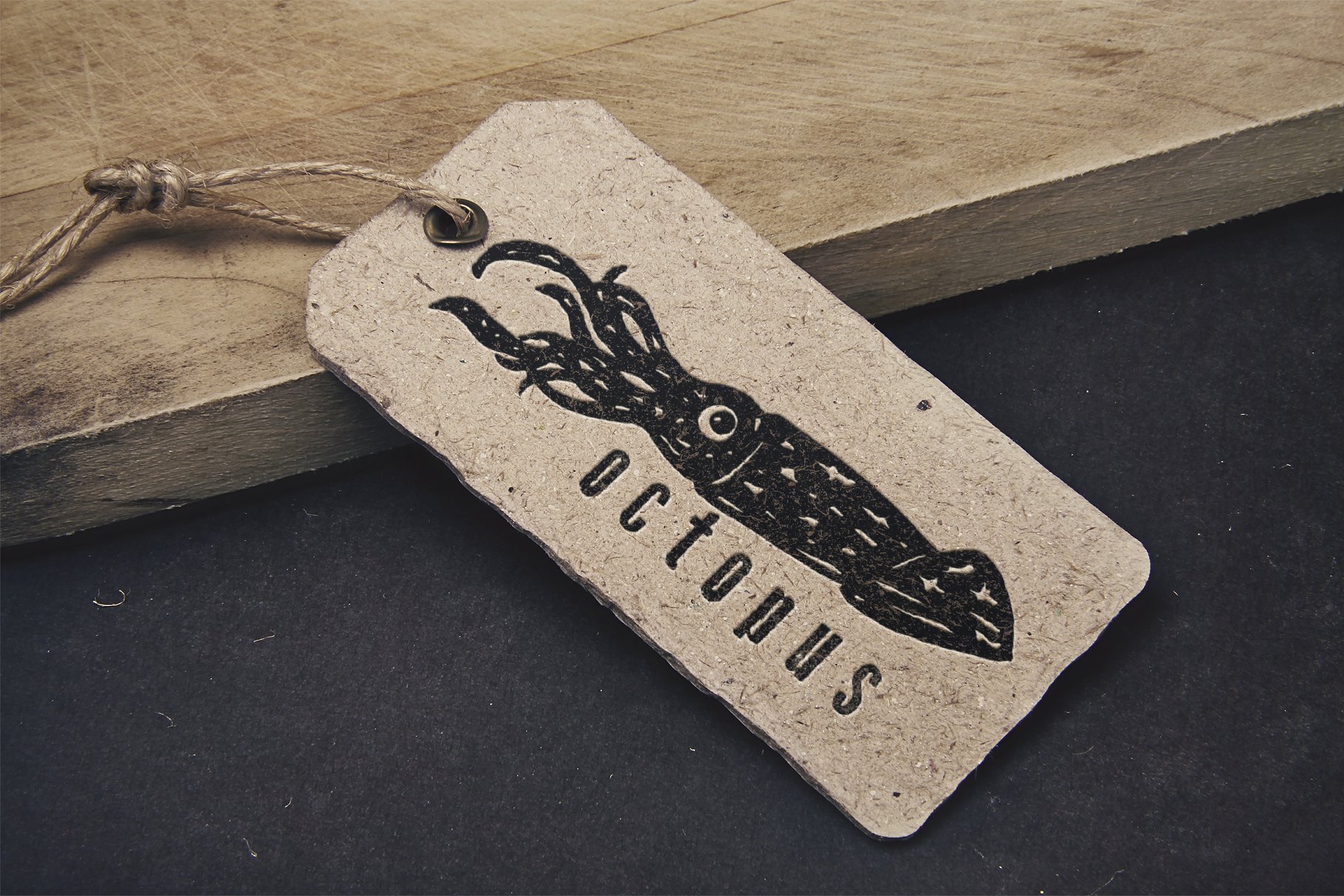 复古单色海洋&河流鱼类印刷插图 Hand-drawn fish vectors插图(2)