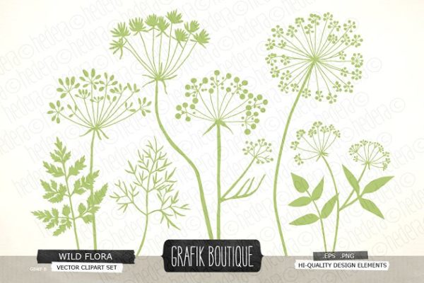 野生草本花卉矢量剪贴画 Wild Herbs Flowers silhouette vector