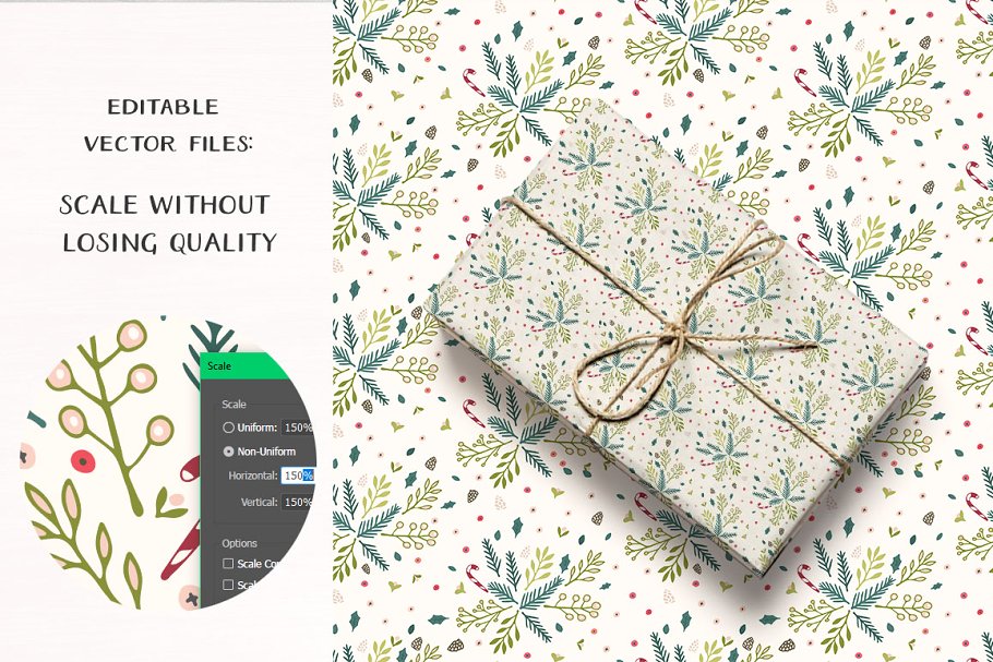 冬天圣诞节节日主题花卉图案纹理 Winter Flowers Christmas Patterns插图(2)