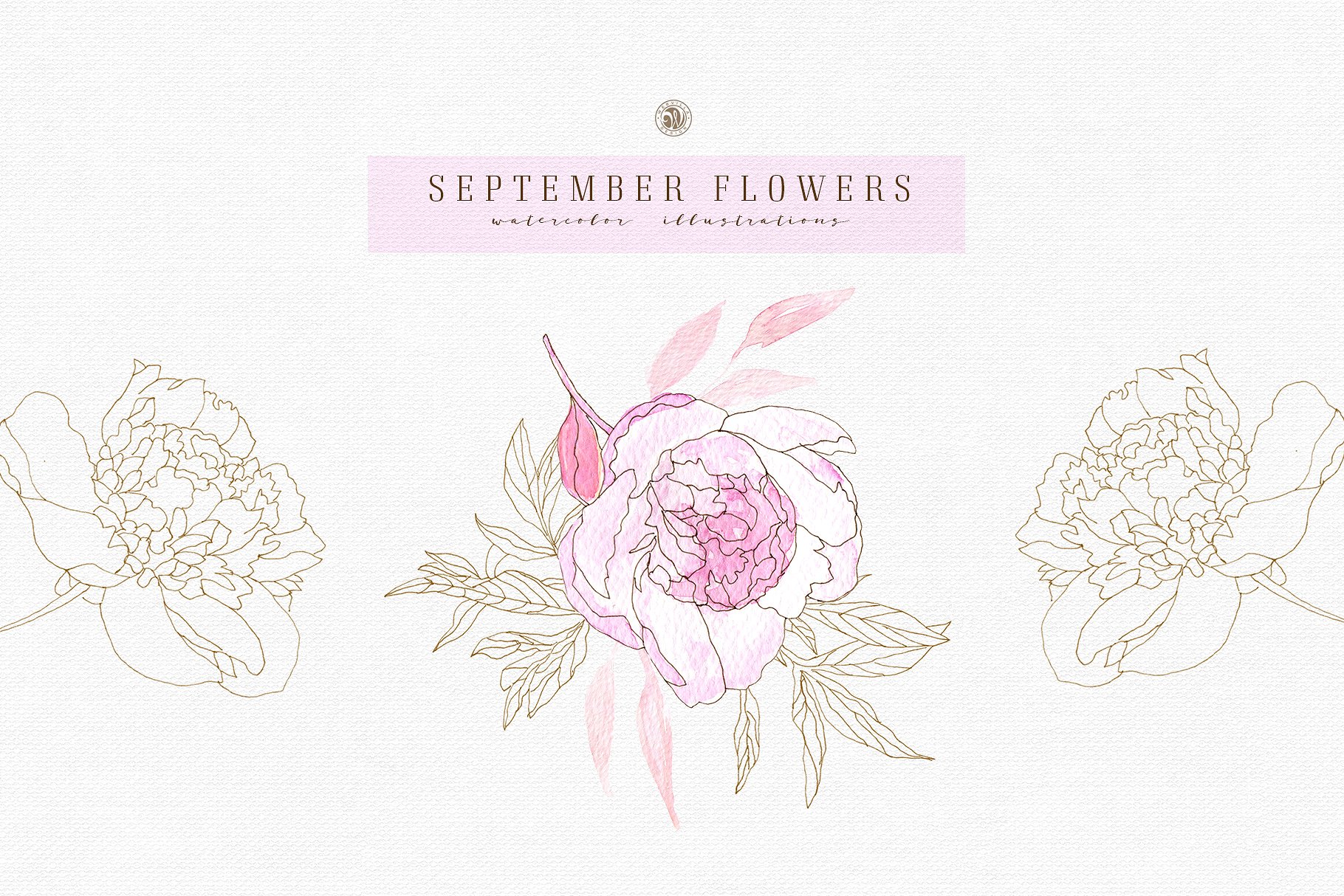 九月淡雅风水彩手绘花卉插画素材v2 September Flowers vol.2插图(2)
