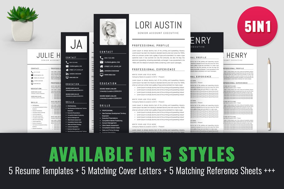 个人介绍/工作简历模板 Resume/CV Template插图(1)