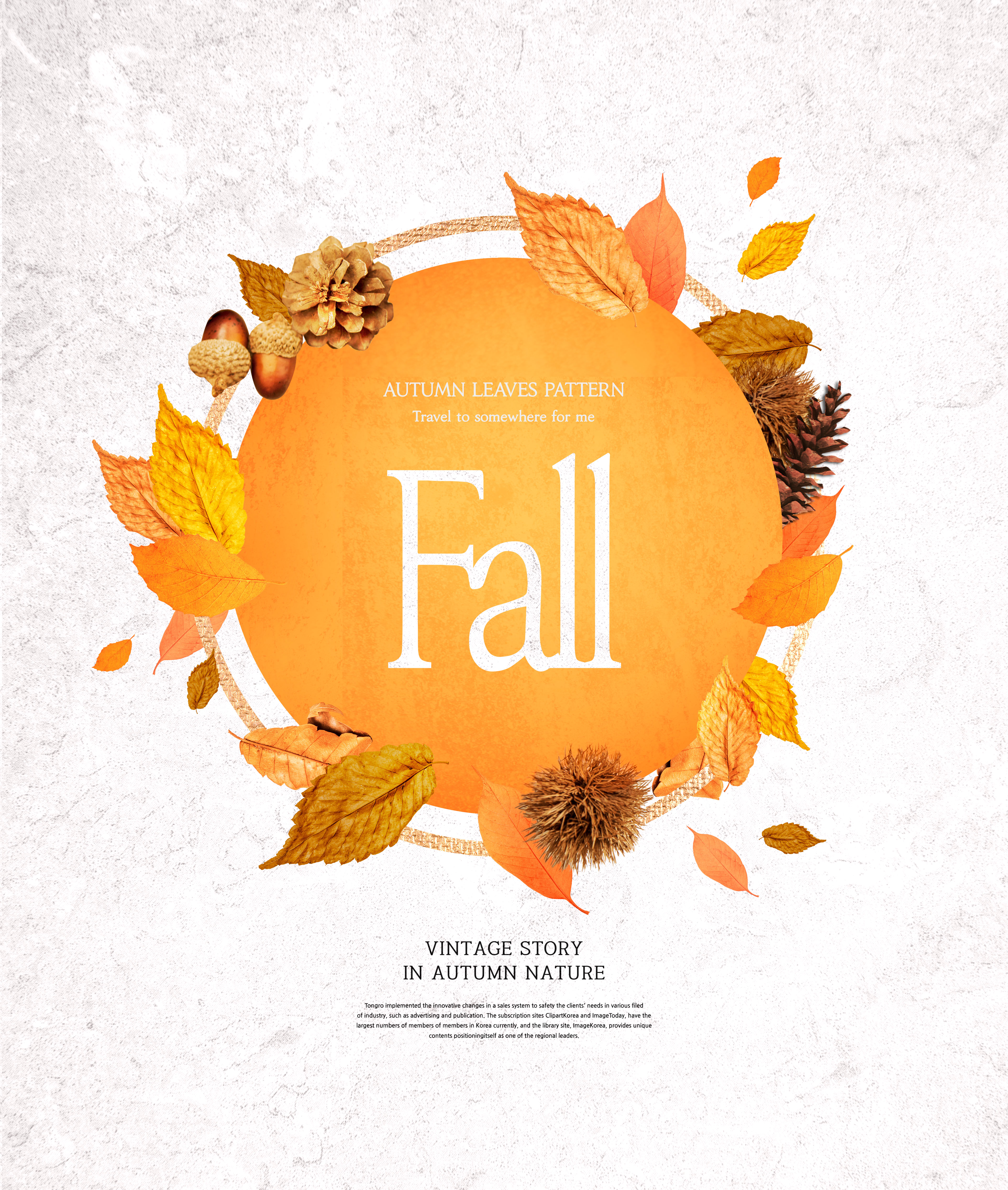 秋天叶子图案海报素材合集插图(6)