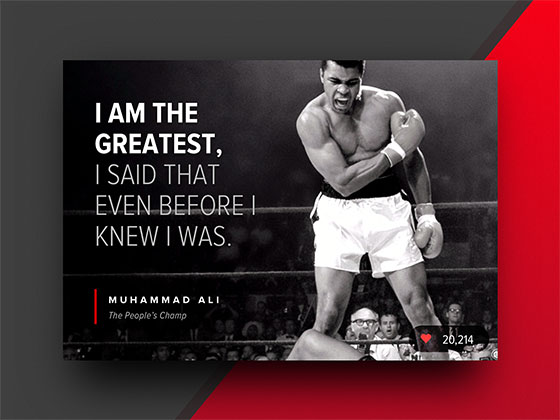 Author Quote Card素材之家精选sketch素材