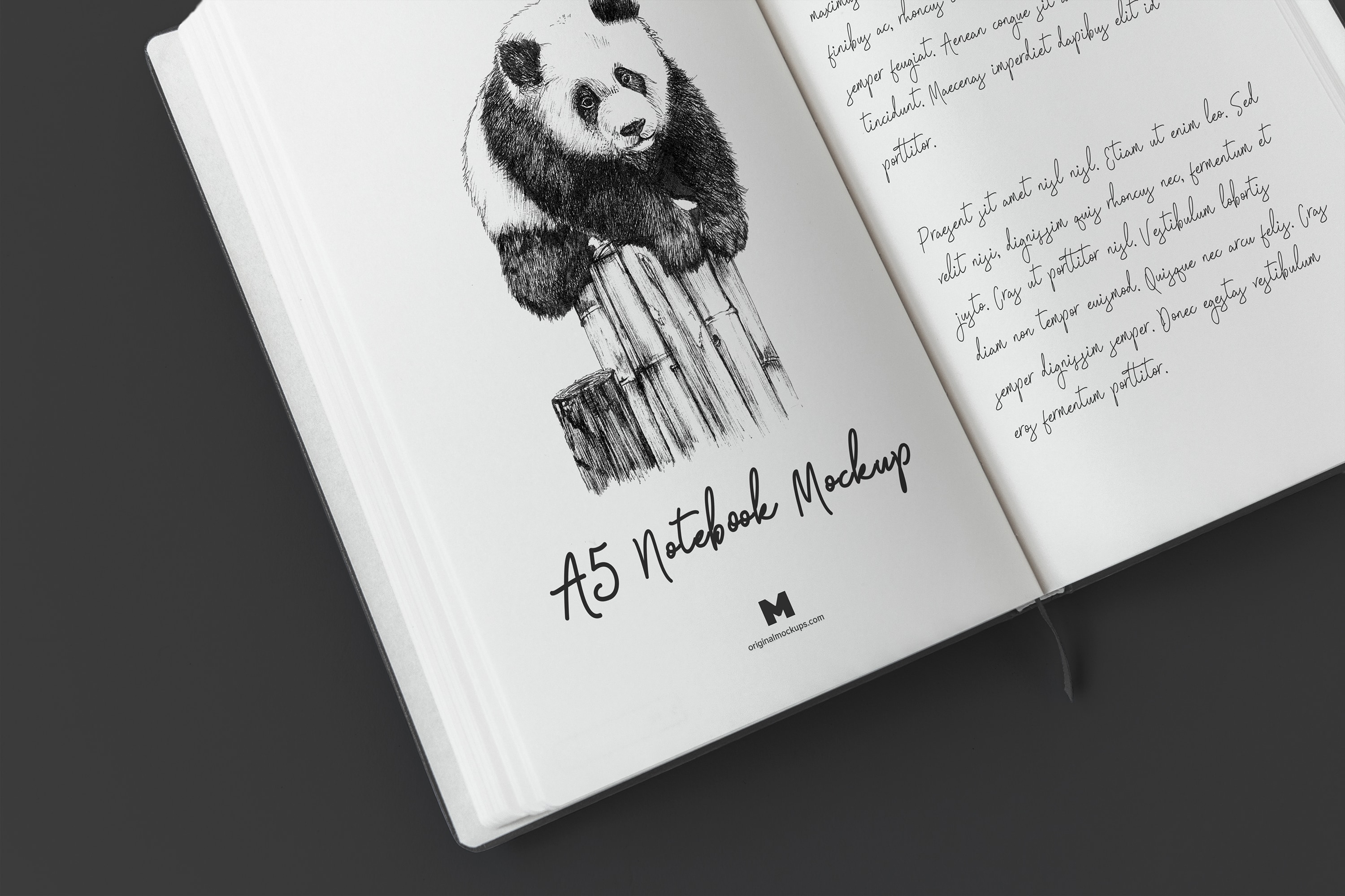 A5精装笔记本记事本内页样机模板02 A5 Hardcover Notebook Mockup 02插图(3)
