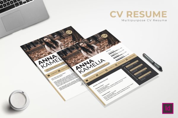 业务分析师个人电子简历模板 Business Analyst CV Resume Template