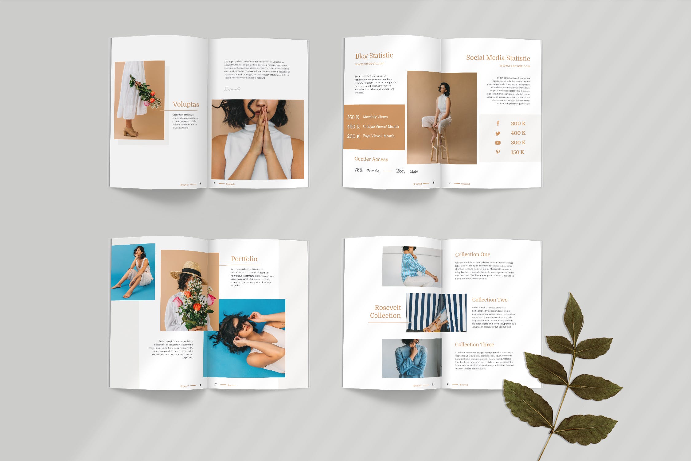 品牌形象塑造媒体宣传画册设计模板 Rosevelt – Media / Press Kit  Template插图(1)