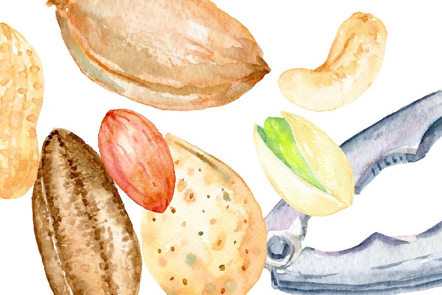 手绘卡通化水彩坚果插图 Watercolor Nuts Illustration插图(3)